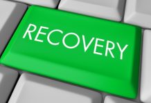 Recovery Plan, Cai critica: parziale visione green