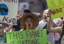 Tante storie, martedì riprende sul web il ciclo di incontri organizzato dal cinema del carbone e dalla Rete Bibliotecaria Mantovana