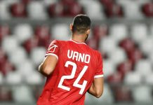 Calcio Serie C – Mantova, via al mercato invernale. Il Perugia vuole Vano Michele Vano