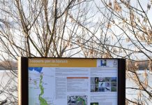 Rifiuti abbandonati nel parco periurbano: intervengono le GEV