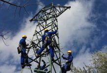 Terna prima electric utility al mondo nel Dow Jones Sustainability Index