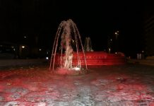 Giornata Mondiale delle Encefaliti, illuminata di rosso la fontana di Porta Pradella