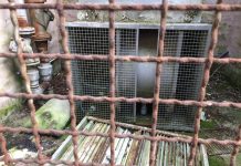 Palazzo Te, al via i lavori per le Fruttiere. Ma intorno è discarica a cielo aperto