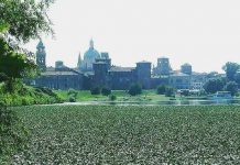 Parte lo sfalcio nei laghi per il contenimento dei trigoli