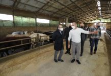 La carne bovina spicca il volo, al via a Fossato il consorzio regionale