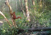 Bando del Gal per l’agricoltura