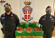 Furto di un quintale e mezzo di rame: denunciato un 62enne di Asola