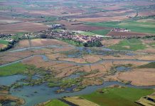 Bando Habitat Fondazione Cariverona: il progetto del Parco supera la prima fase
