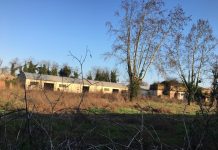 Cimitero ebraico, il consigliere Baschieri: “Manca il progetto”