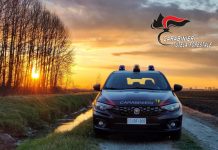 Carabinieri Forestale, elevate sanzioni per 19500 euro e 8 denunce in 4 mesi di attività