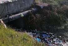 Quintali di lattine e bottiglie finite nel Dugale a Roncoferraro, è giallo