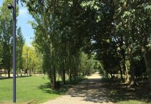 Giorno dei Giusti, verrà messo a dimora un albero commemorativo al Bosco Virgiliano