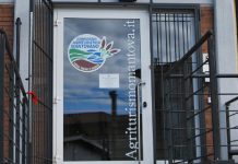 Agriturismo e multifunzionalità, incontri on line con il Consorzio Verdi Terra d’acqua