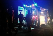 Centauro perde una gamba investito da pirata della strada “pentito”