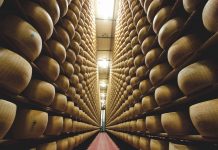 Parmigiano-Reggiano: sambenedettino in lizza per la presidenza del Consorzio