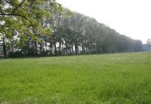 I prati stabili vanno salvaguardati, la richiesta alla Regione