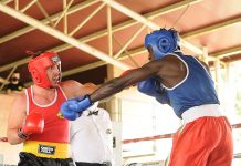 Pugilato – Guerrino, Bergadani e Stradi in evidenza nella riunione alla Lavadera di Cogozzo