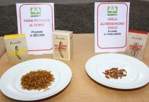 Tarma della farina per il consumo umano, il 54% degli italiani boccia l’ok dell’Ue