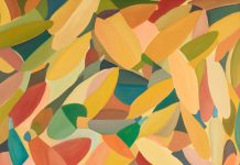 Asola, prorogata fino al 4 luglio la mostra ‘Domenico Gentile. Indagando le sottili trame’ al Museo Civico ‘Goffredo Bellini’