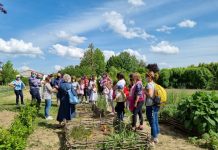 Canneto, domenica laboratori di piante tintorie all’evento ‘Per corti e cascine, alla scoperta della campagna da vivere’