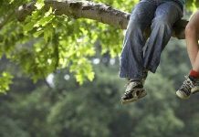 On line la guida promossa dal Comune di Mantova per le attività estive rivolte a chi ha dai 6 ai 14 anni