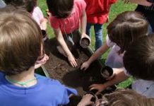 Educazione alimentare, Coldiretti e Donne Impresa di nuovo nelle scuole