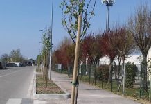 Marmirolo – Lavori via Di Vittorio: al via fase finale del primo lotto