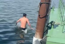 Calcio Serie C – Il Mantova chiude col sorriso, tra tuffi nel lago e grigliate allo stadio Vincenzo Silvestro si tuffa nel lago di Mezzo