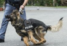 Quattro spacciatori in manette, il bar del distributore Tamoil della Spolverina la base dello smercio