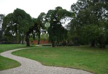 Mozzecane, a luglio torna Narr.azioni