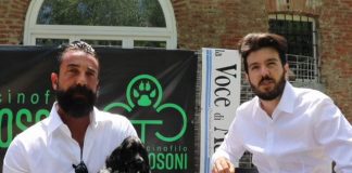Giornata mondiale del cane in ufficio: si lavora meglio e molto di più!