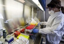 In Italia 2.072 nuovi contagi e 7 decessi, aumentano i ricoveri