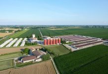 Il gruppo Bompieri replica alle pesanti accuse dell’organizzazione Animal Equality: facciamo chiarezza!