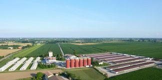 Il gruppo Bompieri replica alle pesanti accuse dell’organizzazione Animal Equality: facciamo chiarezza!