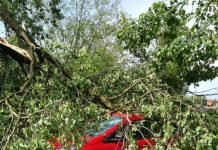 Maltempo, Coldiretti Mantova: 20 giorni per la segnalazione dei danni