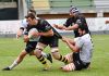 Rugby Top 10 – Viadana, stagione al via l’11 settembre. Boschetti rinnova Fabrizio Boschetti
