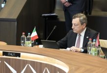 Draghi, piano per ristori danni incendi e rimboschimento Calabria