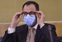 Incendi, Patuanelli “Introdurre il servizio civile ambientale”