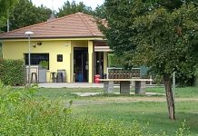 “Smascherati” al bar: 4 chiacchiere e 4 multe