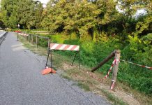 La ciclabile di Lunetta in condizioni critiche. La denuncia di Baschieri (FI)