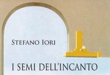 I semi dell’incanto di Stefano Iori a Gazoldo