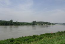 A passeggio all’alba sull’argine: straniero gli strappa la catenina