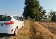 Sequestrato a Valeggio, ostaggio abbandonato nelle campagne di Solarolo