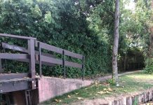 Belfiore-Angeli: eseguiti recuperi spondali sul percorso naturalistico. Interventi anche nelle Valli del Mincio