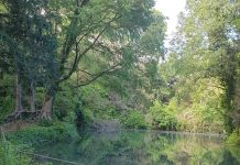 Ritornano i laboratori di ecopsicologia a Parco delle Bertone