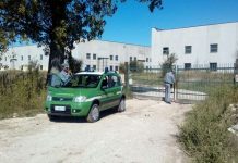 Carabinieri forestali verso l’accorpamento: Mantova con Cremona