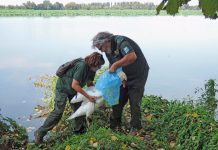Scomparso Federico Prati, una delle prime Guardie ecologiche del Parco