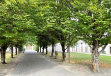 Lavori di manutenzione straordinaria al cimitero di Gazoldo