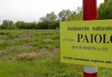 Ambientalisti contro Comune e Tea“Danno ambientale, intervenga lo Stato”