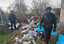 Sustinente, terreno trasformato in discarica: denunciato imprenditore agricolo